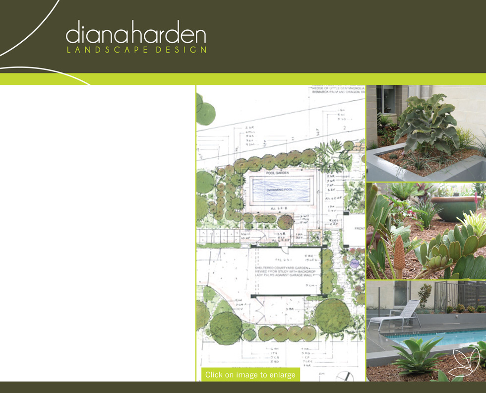 Diana Harden - Landscape Plans Northern Rivers Ballina Byron Lismore